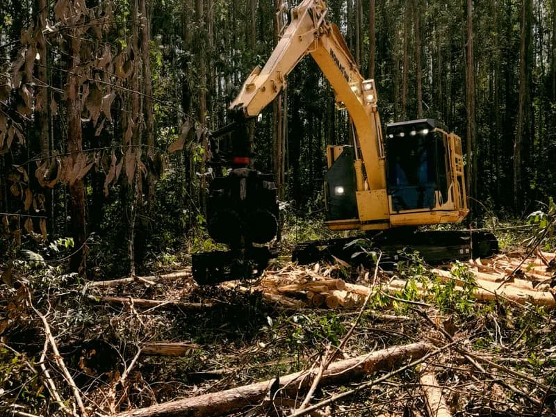 Land clearing project in Omaha